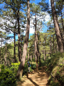 3720 yellow trail i 225x300