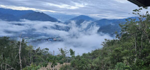 3730 dusty trail lookout 300x140