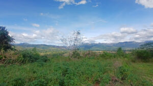 3738 bomboaya trail 300x169