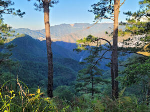 3746 mt. pigingan 300x225