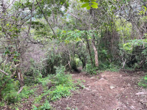 3748 3way inxiong trail 300x225