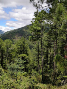 3750 hiking guide 225x300