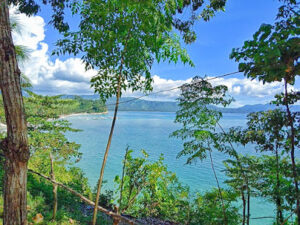 3754 burias camp sight floating cottage and net pool 300x225