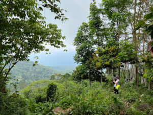 3762 mt. loay nature park 300x225