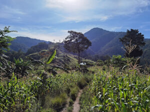 3770 station 01 blete hemglung 300x225