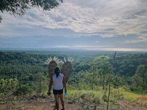 3772 vipers peak 300x225