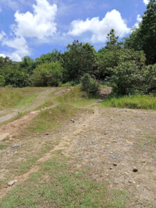 3776 devils trail 225x300