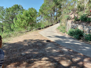 3790 outturn view 300x225