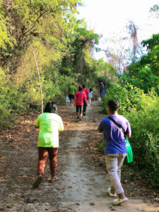 3797 tapaw view deck 225x300