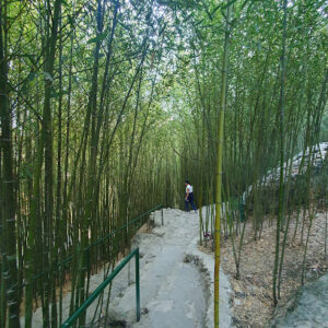 3806 eco park 300x300