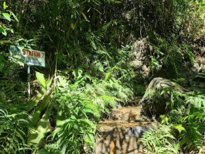 3810 ganano falls trail 8211 station 7 300x225