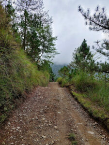 3812 ambangeg trail 225x300