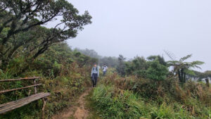 3819 mt. purgatory summit 300x169