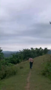 3833 salapak trail 169x300