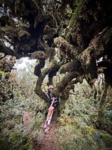 3837 mt al al 225x300