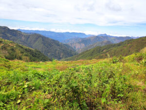 3839 osukan spanish trail 300x225