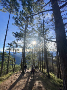 3843 ulap trail kilometer 9 225x300