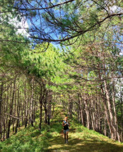 3853 mt. kupapey 243x300