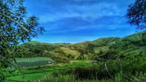 3855 palayan decabacan trail mtb trail rides ph 300x169