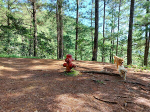 3863 red hydrant 300x225