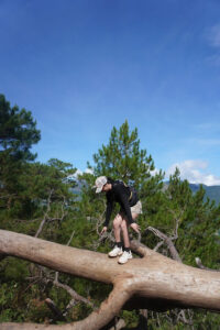 3874 kayapa trilogy 200x300