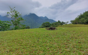 3878 sakaraw 300x188