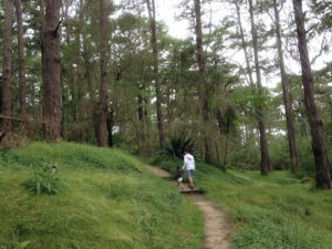 3884 cemented trail 300x225