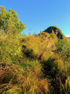 3896 bogang bugan viewpoint 225x300