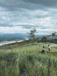 3904 bagabag rolling hills 225x300