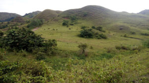 3910 pojnaan ubao hills view 300x169