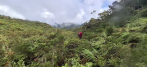 3919 mt. anacuao camp site 300x138