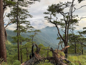 3928 mt. tuwato 300x225