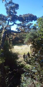 3930 siniblawan talaw 150x300