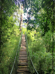 3945 maryknoll ecological sanctuary 225x300