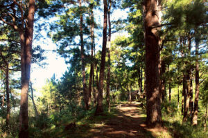 3949 admirals farm park 300x200