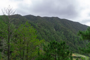 3953 mt. pulag radio tower 300x200