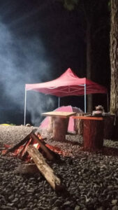 3961 tiny house japanese trail 169x300