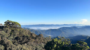 3963 mt. amuyao 300x169