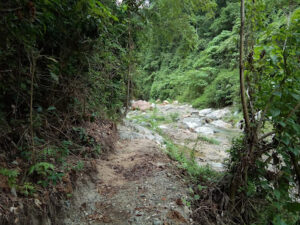 3972 baul falls trail 300x225