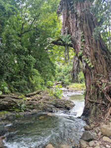 3979 masagana falls 225x300