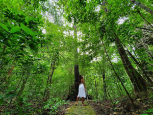 3982 tabon caves philippines 300x225