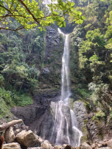 3990 matnor falls 225x300