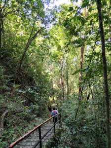 3998 national museum tabon cave complex and lipuun point 225x300