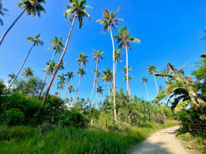 4008 kamuning beach 300x225