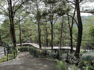 4010 mt. camisong forest park and events 300x225