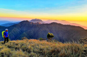 4013 mount pulag national park protected area office 300x195