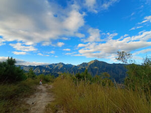 4025 pilipil red soil 300x225