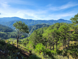 4066 iyaman farm 300x225