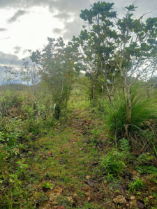 4068 basaw bike trails 225x300