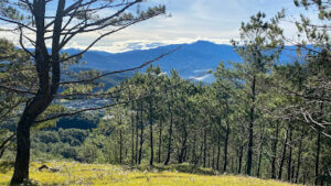 4080 mount ampacao 300x169